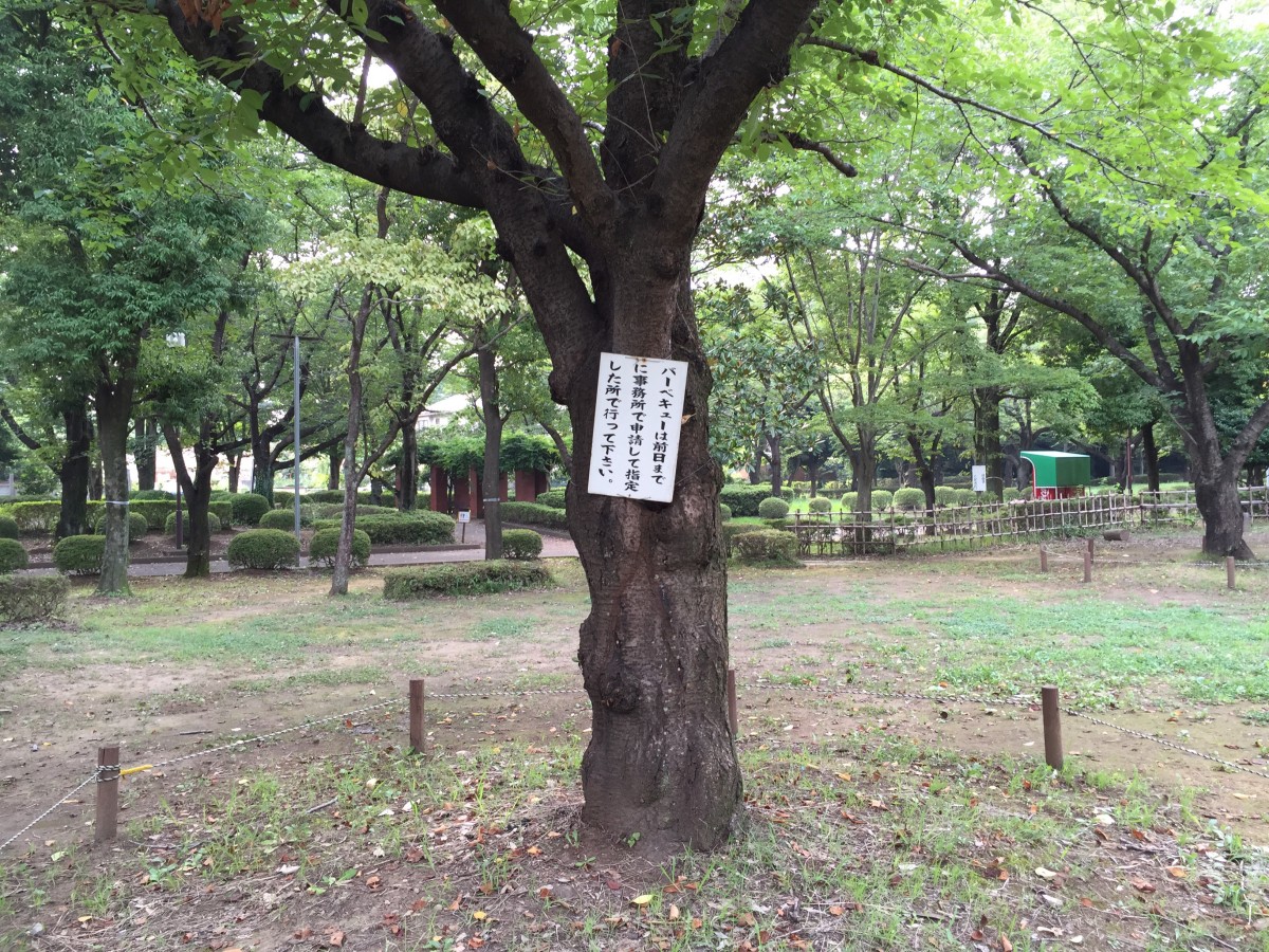 【桶川市】城山公園　テニスコートやバーベキューなんかもできるよ