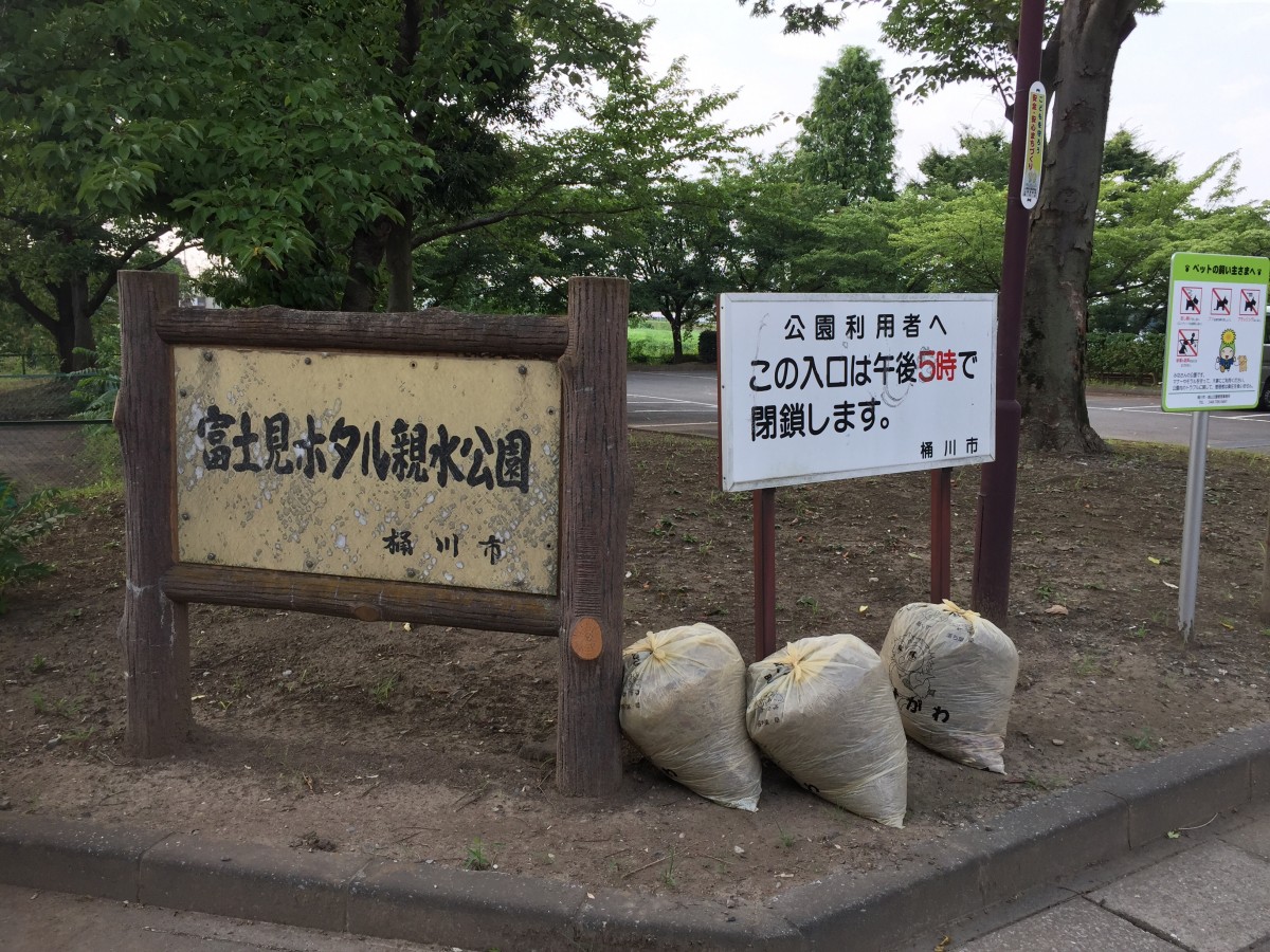 【桶川市】　富士見ホタル親水公園　ホタル鑑賞会　現在はやっている？