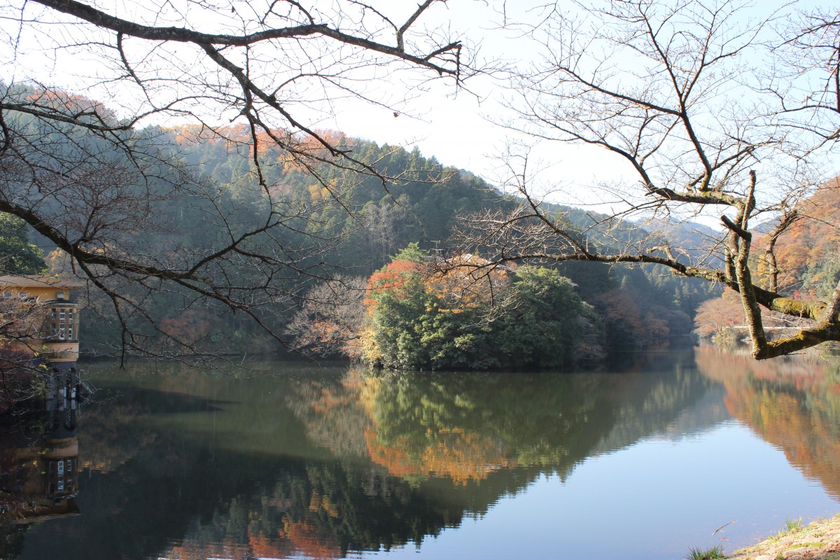 【埼玉県毛呂山町】散歩しながら、紅葉も楽しめる鎌北湖　実は心霊スポットが近くに！！