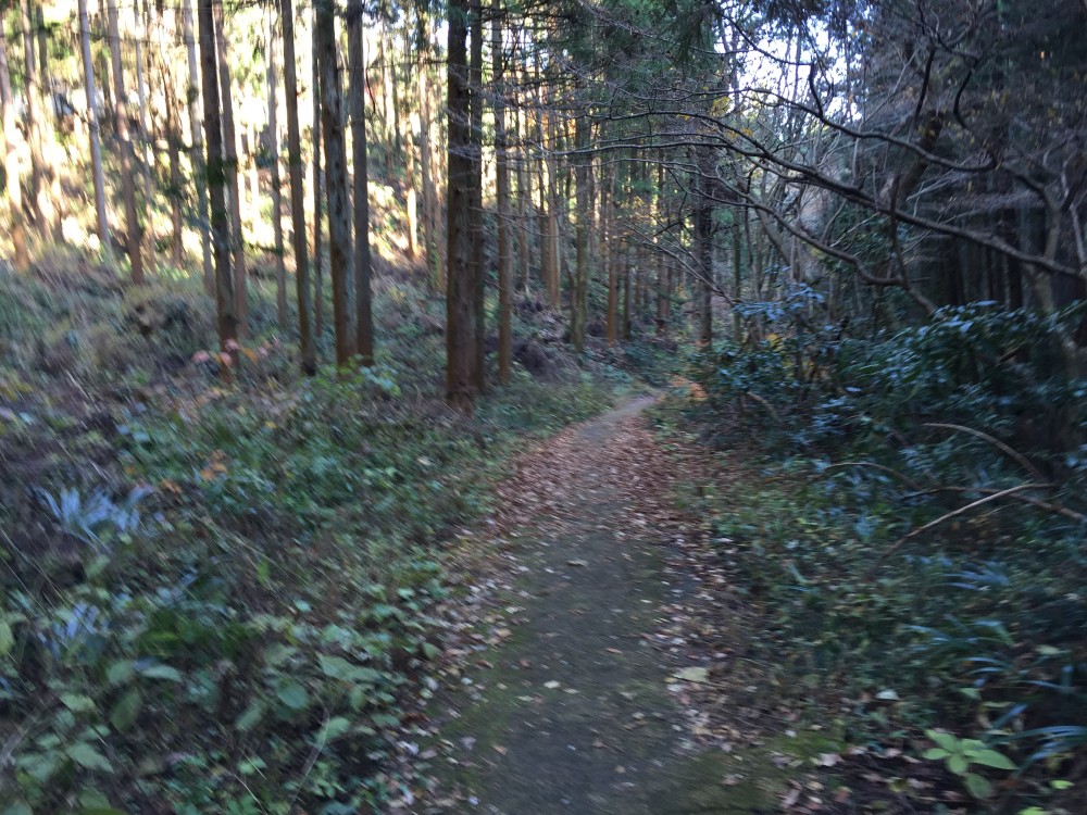 【埼玉県毛呂山町】散歩しながら、紅葉も楽しめる鎌北湖　実は心霊スポットが近くに！！