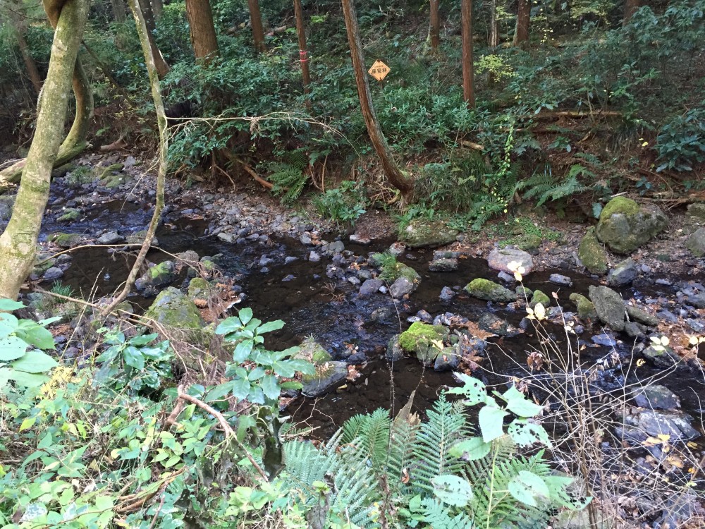 【埼玉県毛呂山町】散歩しながら、紅葉も楽しめる鎌北湖　実は心霊スポットが近くに！！