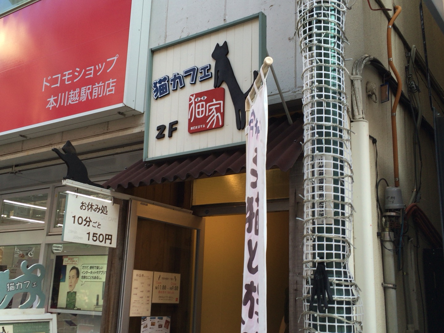 ネコカフェ「猫家 ねこや」で癒されてきた話【川越市 クレアモール商店街内】