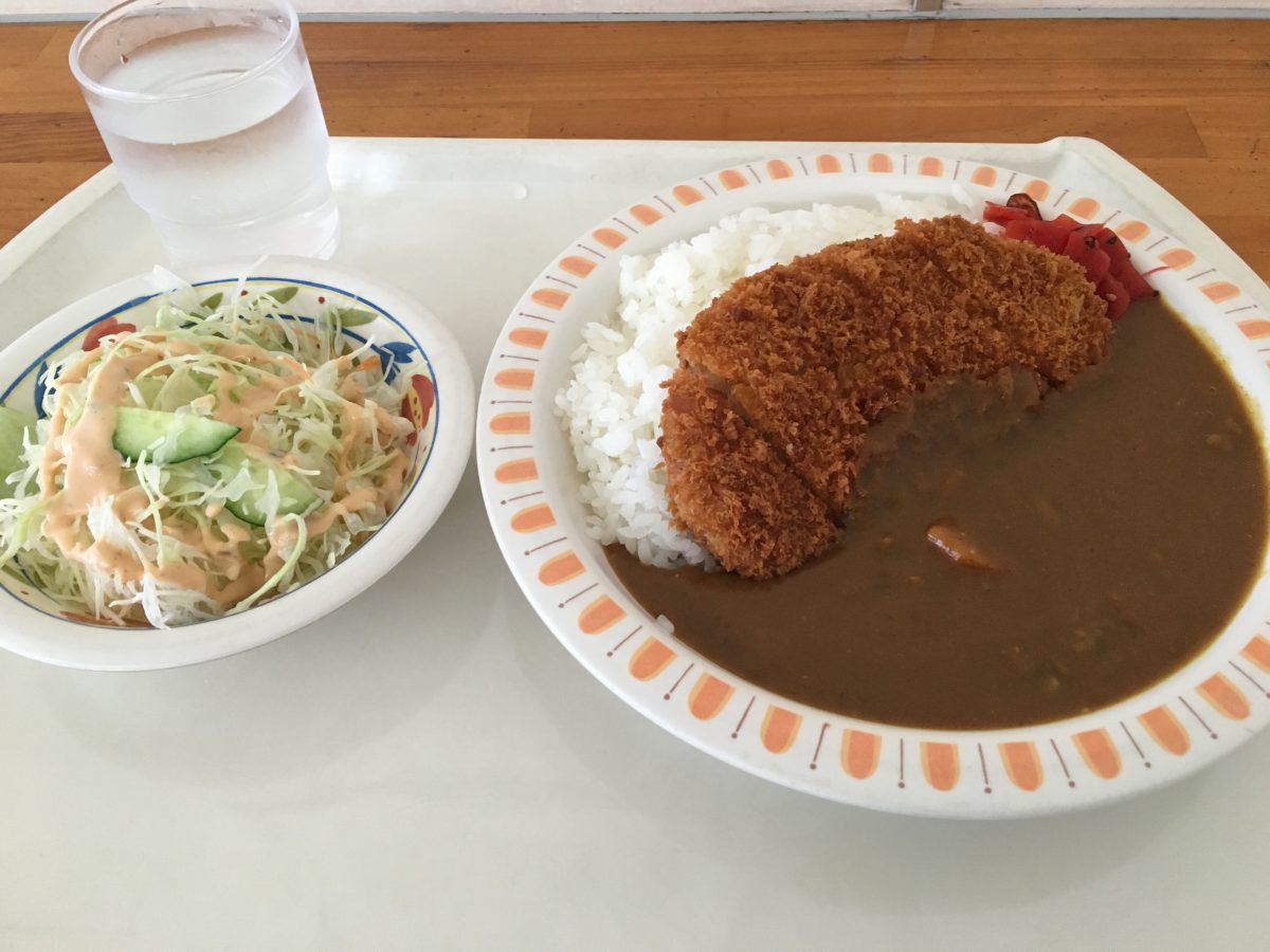 【さいたま市西区】「レストラン田野」で特製カツカレーを食べてきた