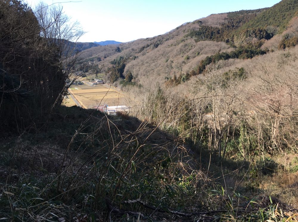 【比企郡嵐山町】ハイキングにいいかも？大平山に登ってみた