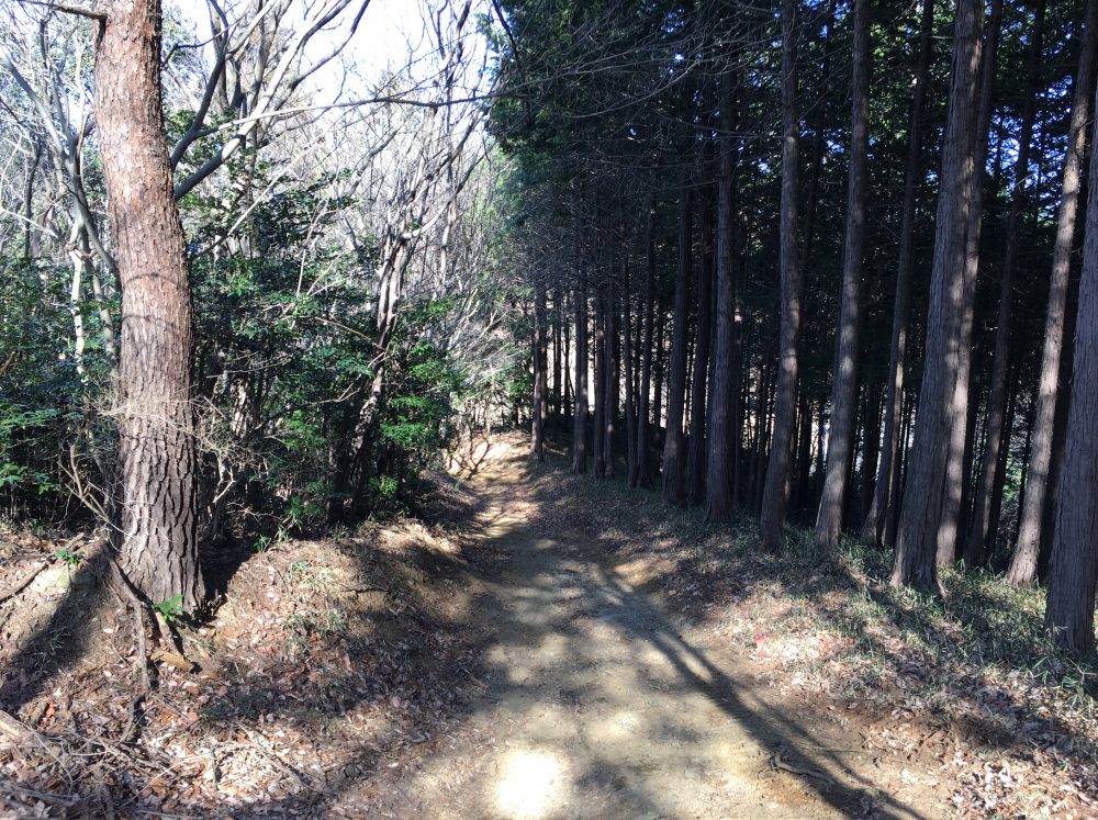 【比企郡嵐山町】ハイキングにいいかも？大平山に登ってみた