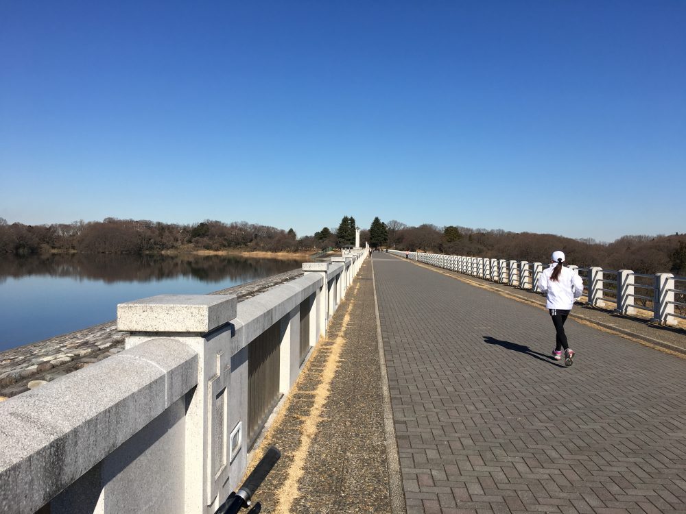 【所沢市】狭山湖１周のランニングコースはおすすめ！15K