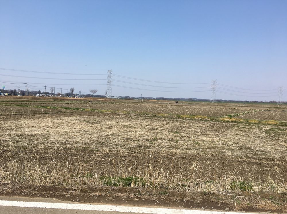 【比企郡川島町】あぢとみ食堂のタンメンは野菜がたっぷりとれて、おすすめ！