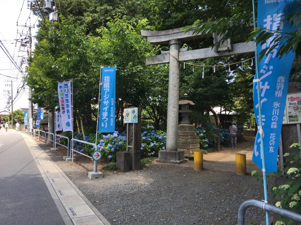 さいたま市西区「2017 指扇アジサイまつり」に行ってきた『埼玉県6月のイベント』