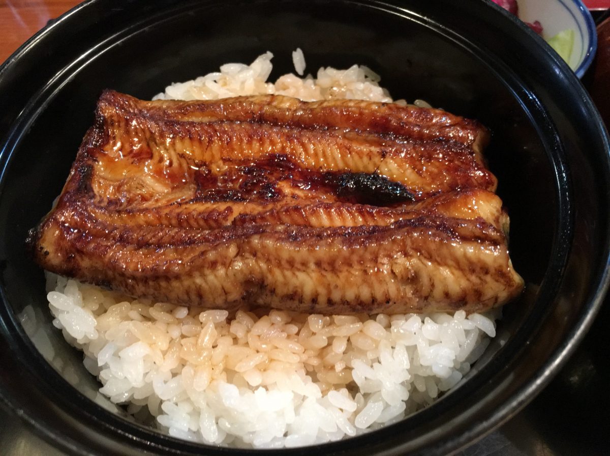 【蕨東口駅前】うなぎ・定食「すがや」のうな丼は安くておいしいよ！