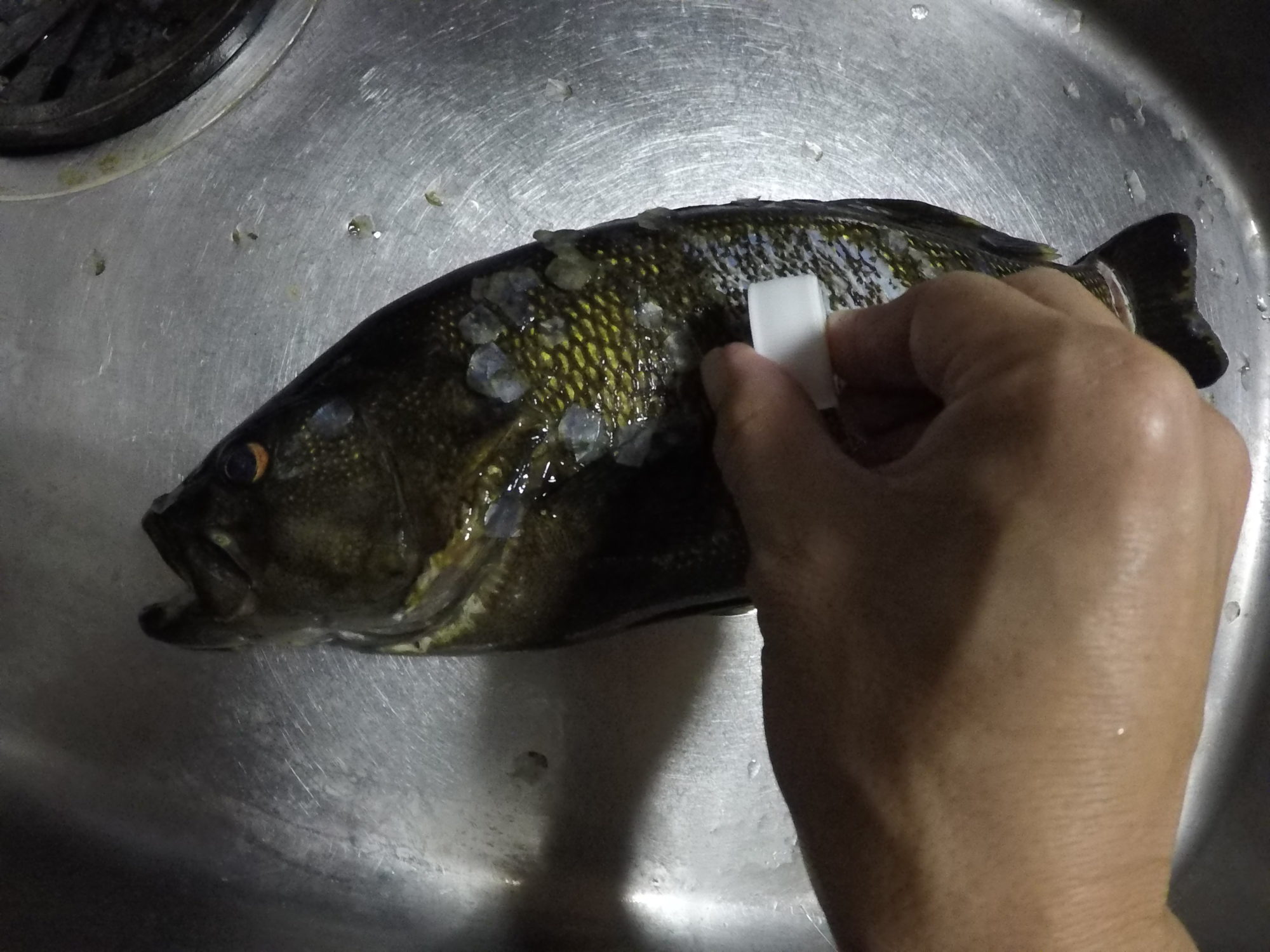 ブラックバス 料理 釣ったバスをフライにして食べてみた Akiraのブログ