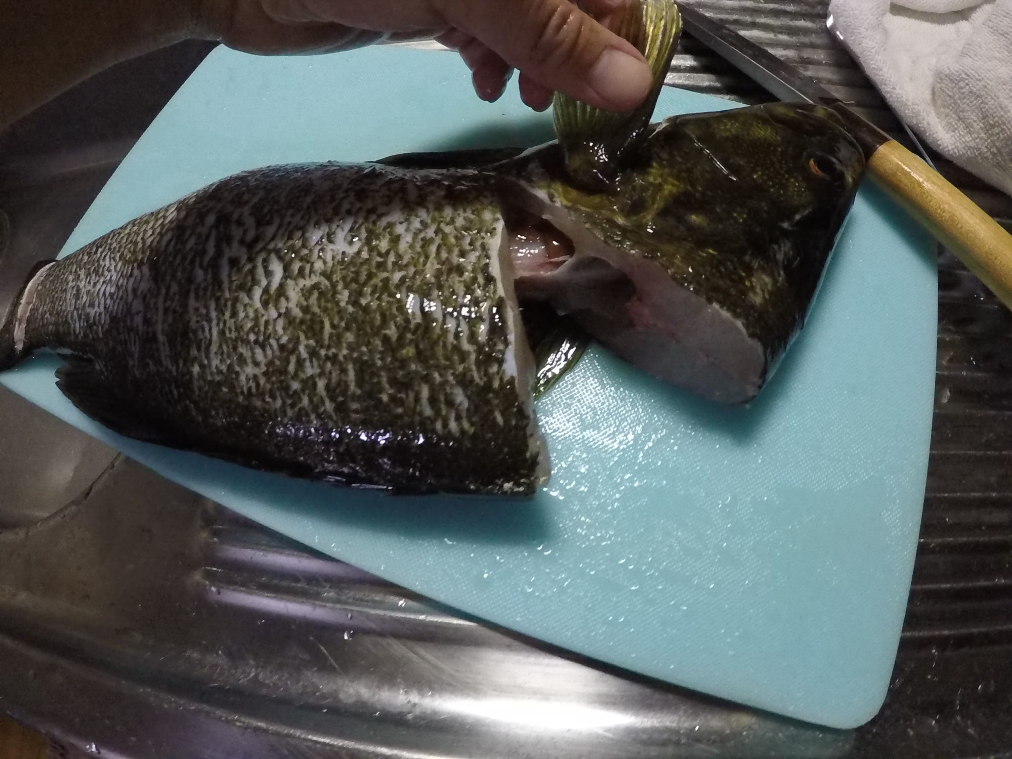 ブラックバス 料理 釣ったバスをフライにして食べてみた Akiraのブログ