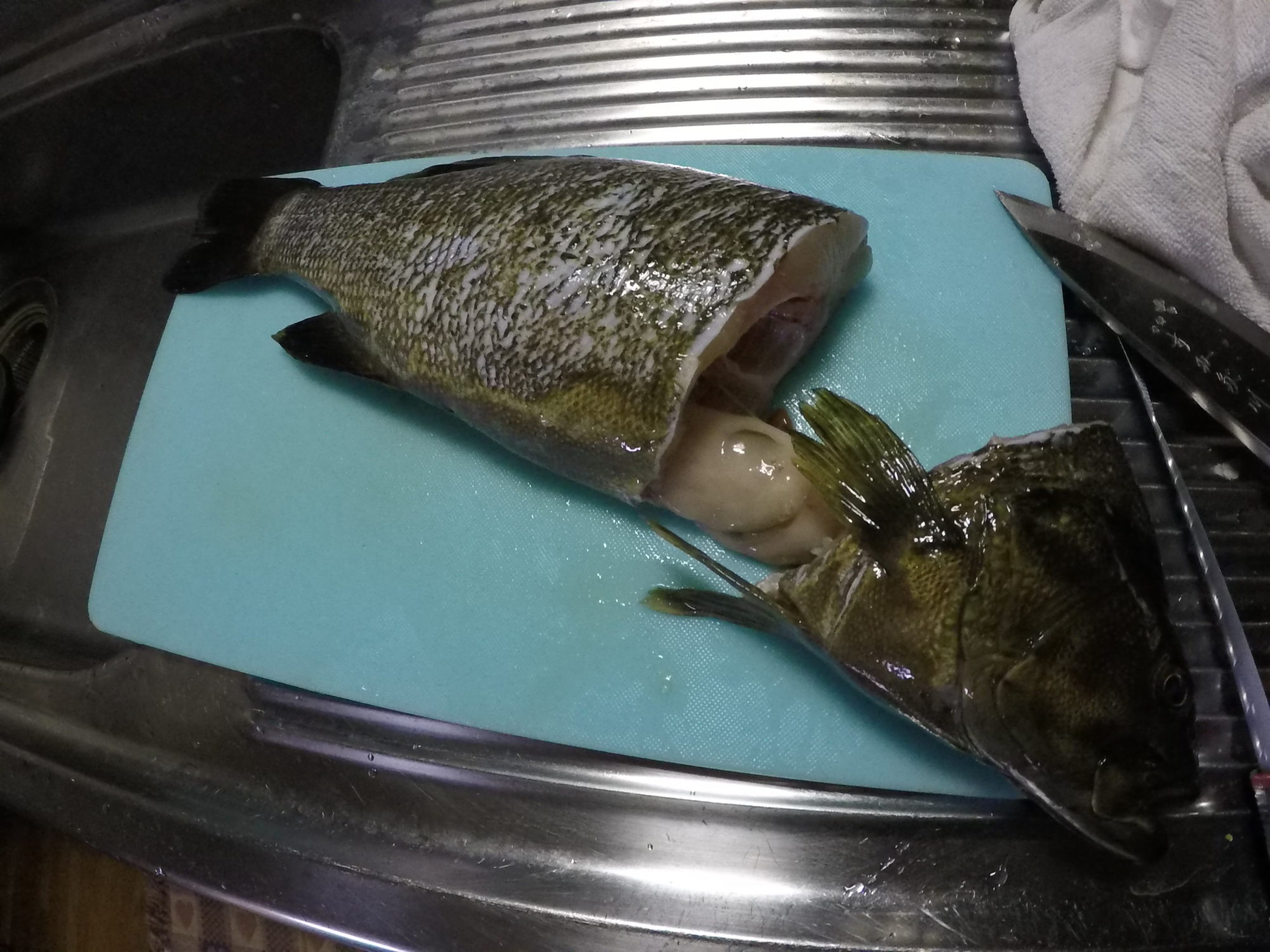 ブラックバス 料理 釣ったバスをフライにして食べてみた Akiraのブログ