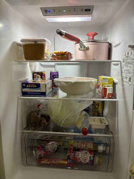 【実機レビュー】シャープ冷蔵庫 SJ-BD23Pの口コミ・評判は?一人暮らしに最適な理由と注意点を解説